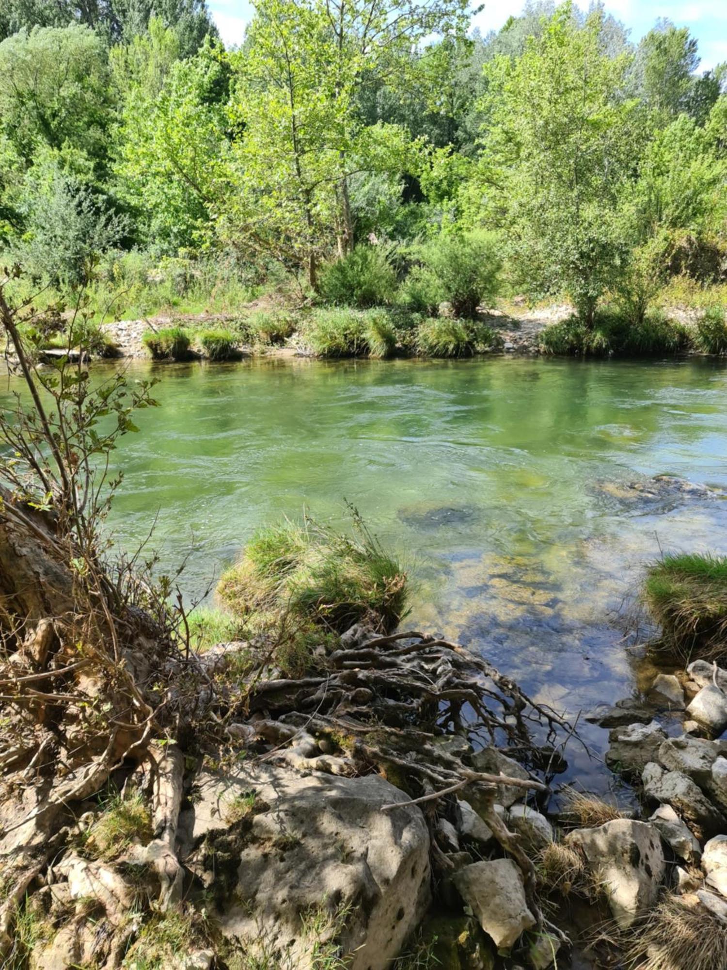 Domaine Du Moulin De Cors Hotel La Roque-sur-Cèze Buitenkant foto