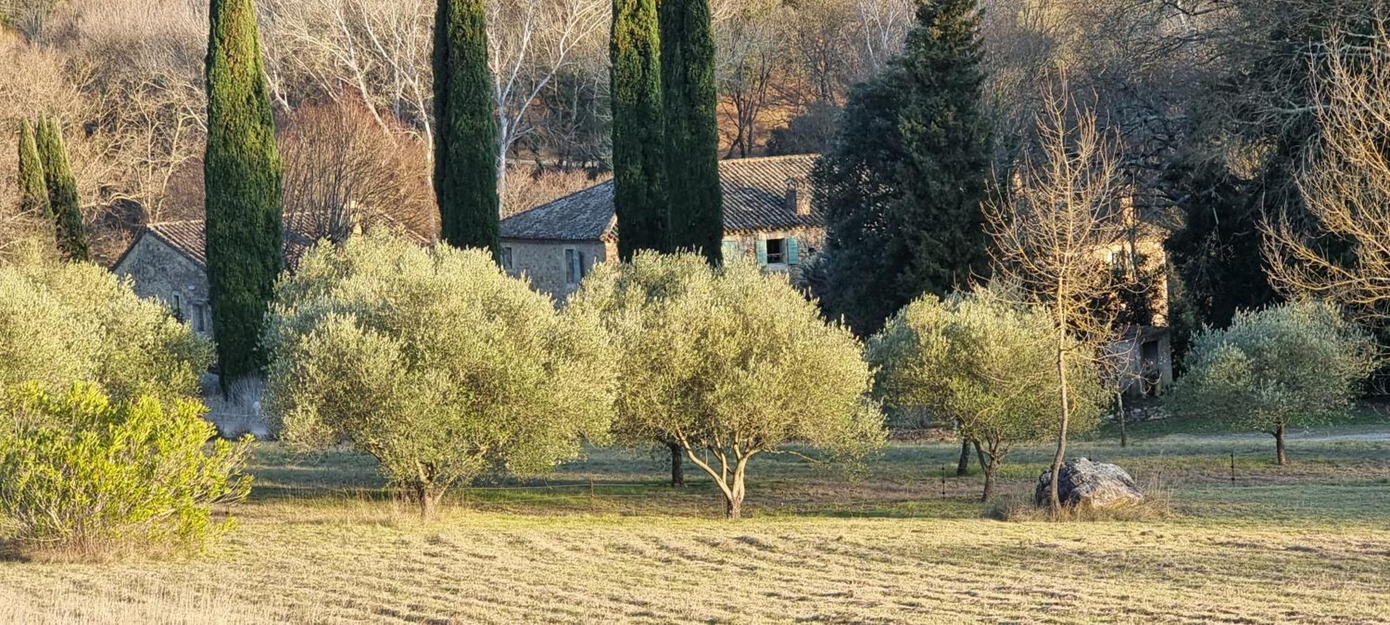 Domaine Du Moulin De Cors Hotel La Roque-sur-Cèze Buitenkant foto